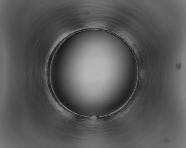 X0000097770947200803071314