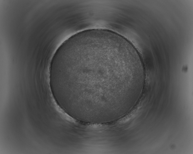 X0000097770950200803071314