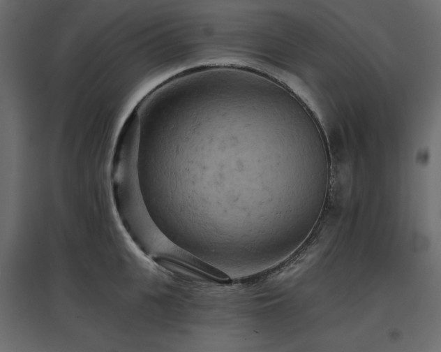 X0000097770951200803071314