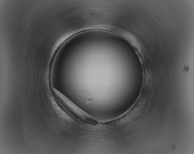 X0000097770952200803071314