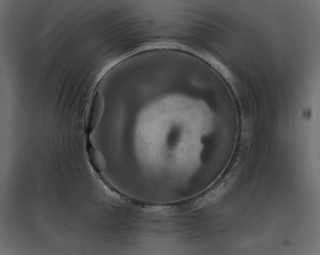 X0000097770953200803071314