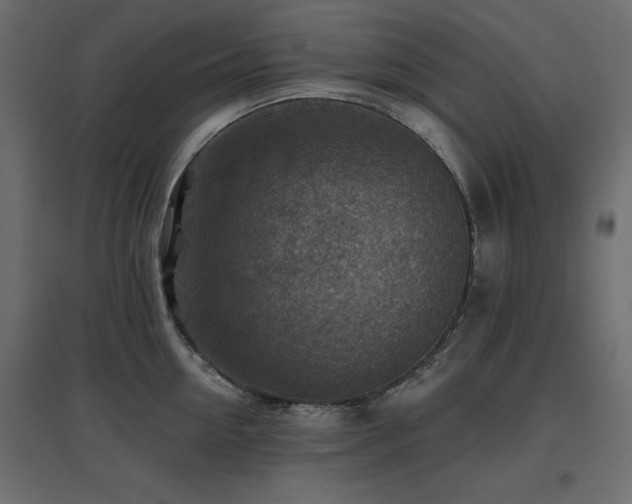 X0000097770954200803071314