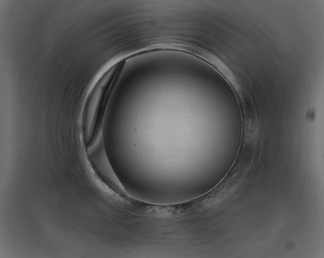 X0000097770955200803071314