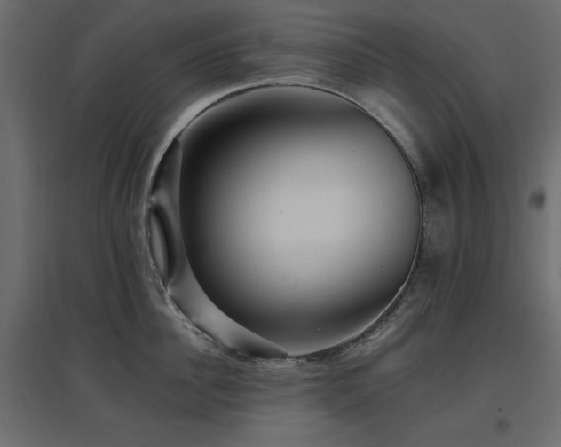 X0000097770956200803071314