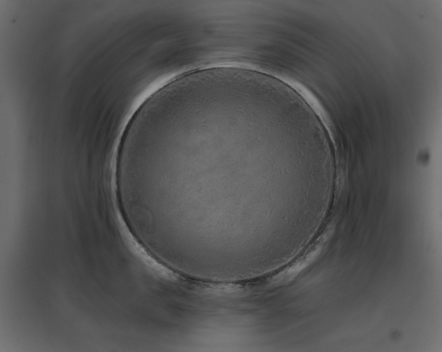 X0000097770957200803071314