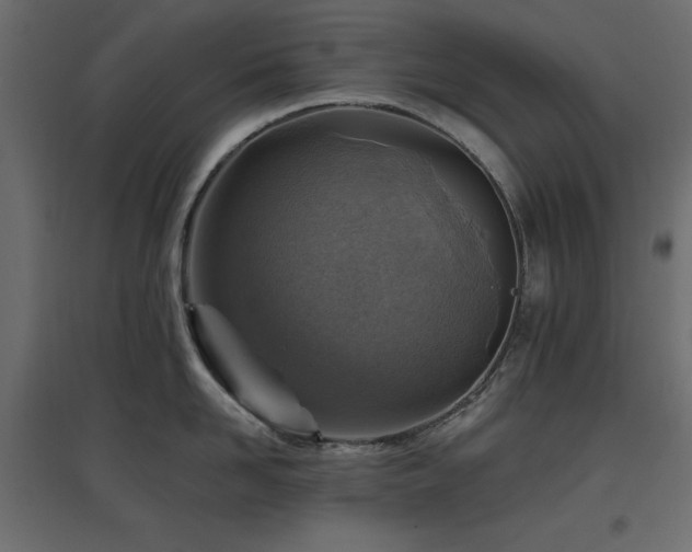 X0000097770958200803071314