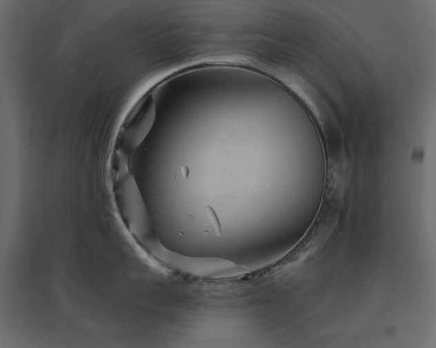 X0000097770959200803071314