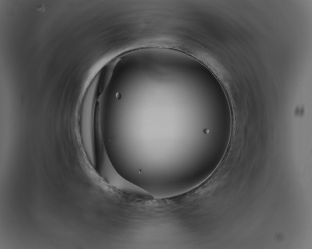 X0000097770960200803071314