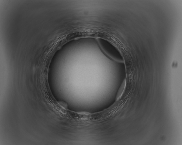X0000097770961200803071314