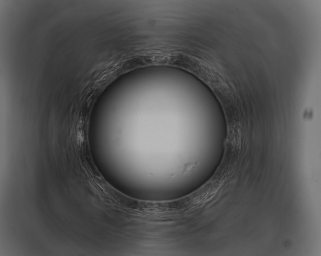 X0000097770962200803071314