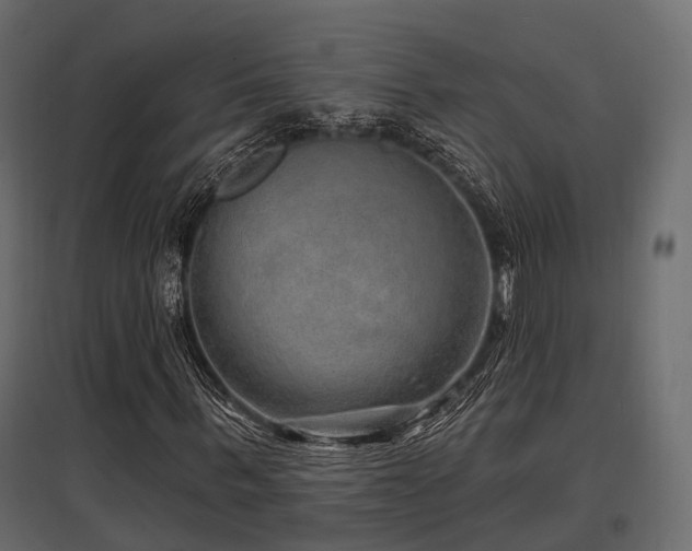 X0000097770963200803071314