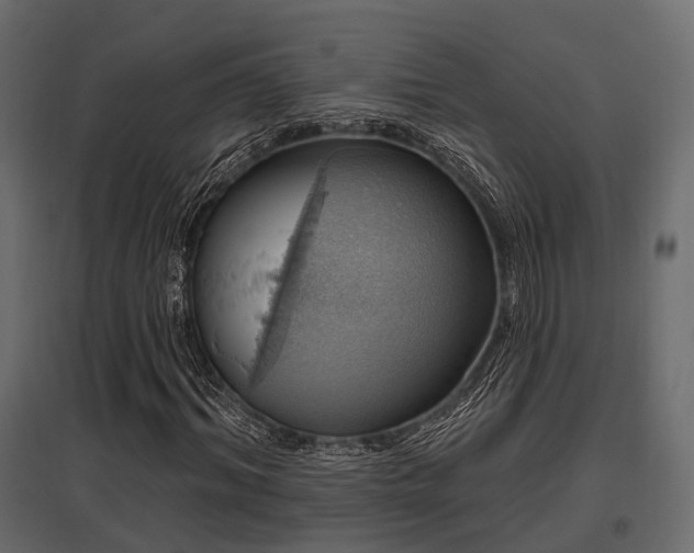 X0000097770964200803071313