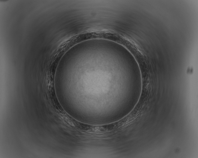 X0000097770966200803071313