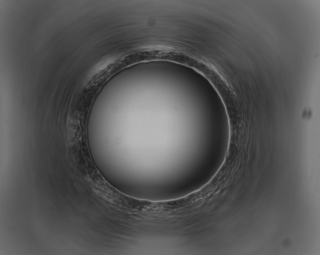X0000097770967200803071313