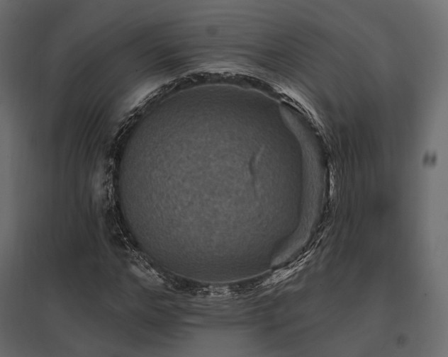 X0000097770968200803071313