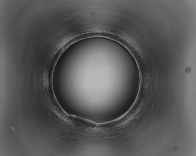 X0000097770969200803071313