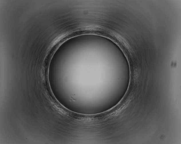 X0000097770970200803071313