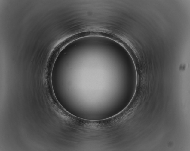 X0000097770971200803071313