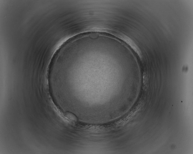 X0000097770972200803071313