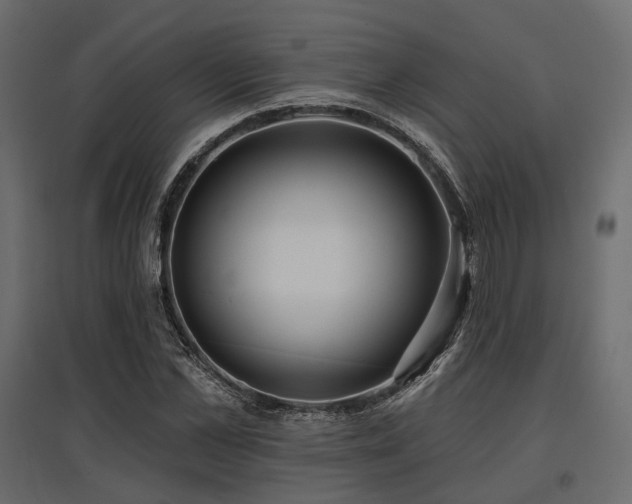 X0000097770973200803071313