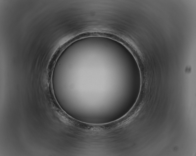 X0000097770974200803071313