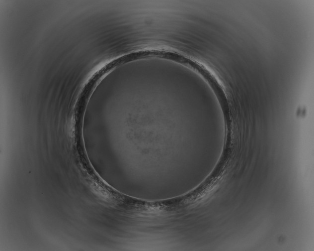 X0000097770975200803071313