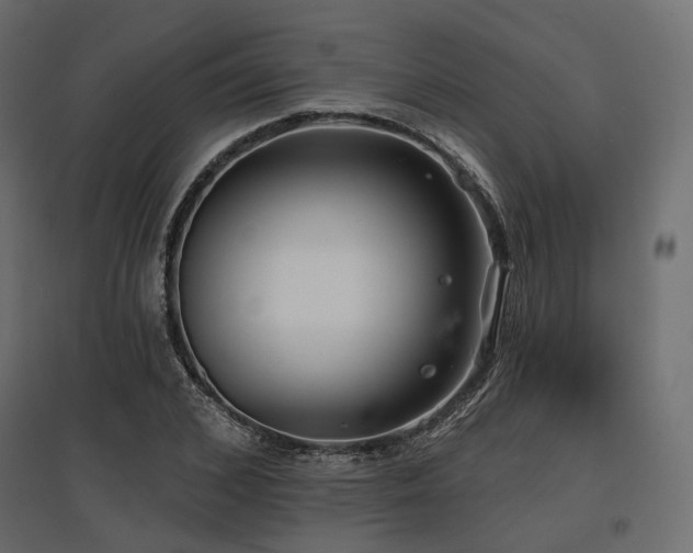 X0000097770976200803071313