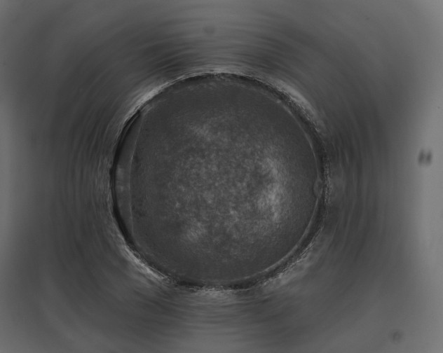X0000097770977200803071313