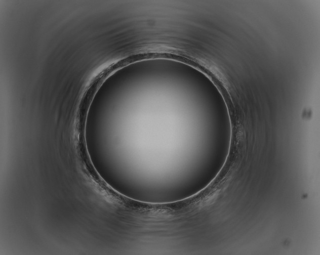X0000097770979200803071313