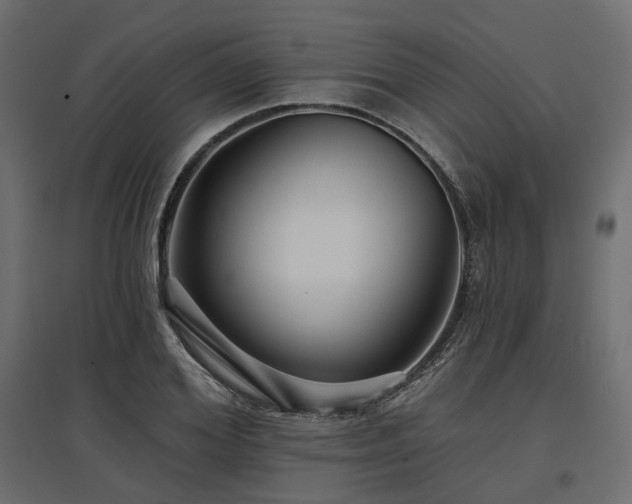 X0000097770980200803071313