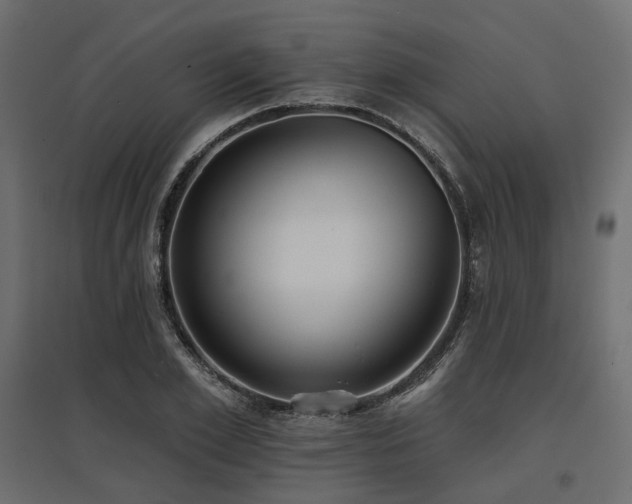 X0000097770981200803071313