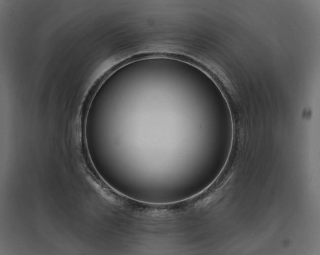 X0000097770982200803071313