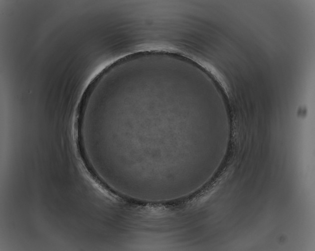 X0000097770983200803071313