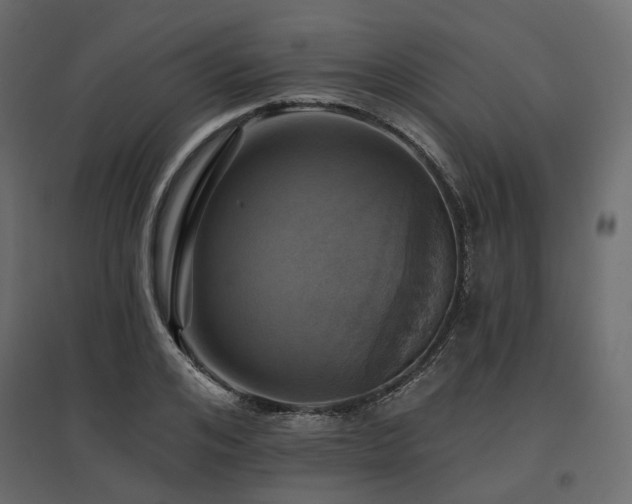 X0000097770984200803071313