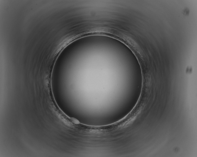 X0000097770985200803071313