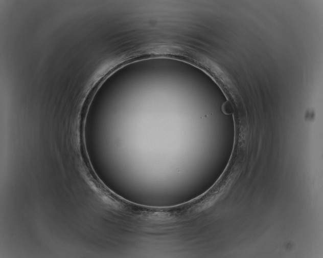 X0000097770986200803071313