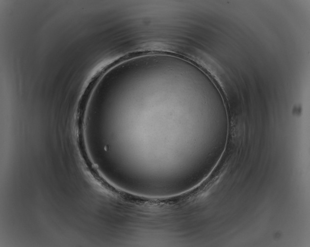 X0000097770987200803071313