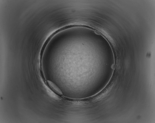X0000097770988200803071313