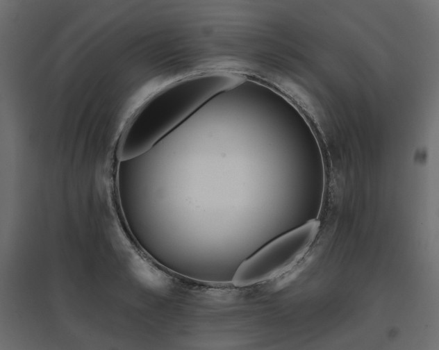 X0000097770989200803071313
