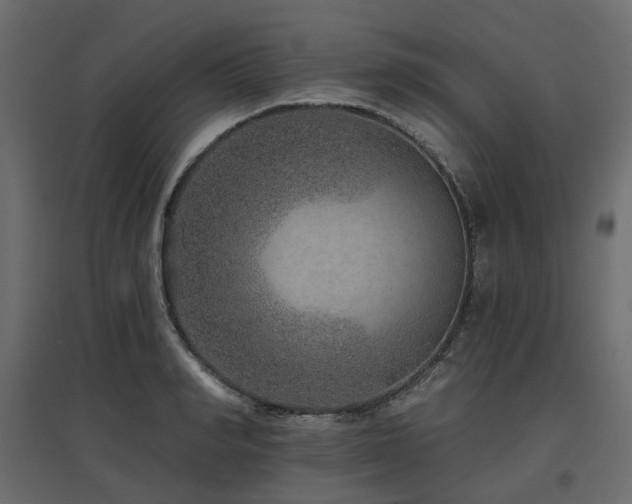 X0000097770990200803071313
