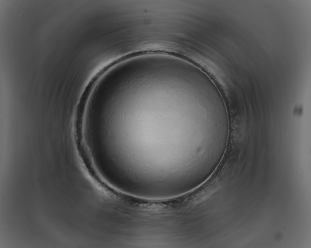 X0000097770991200803071313
