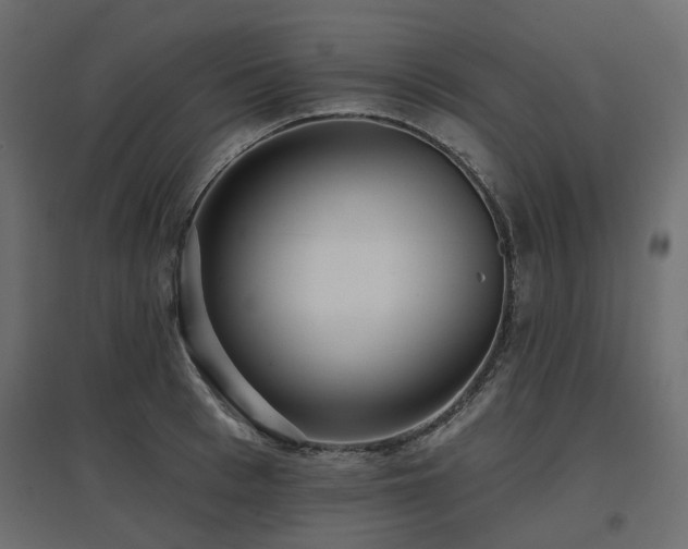X0000097770993200803071313
