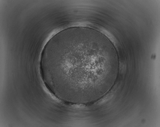 X0000097770994200803071313