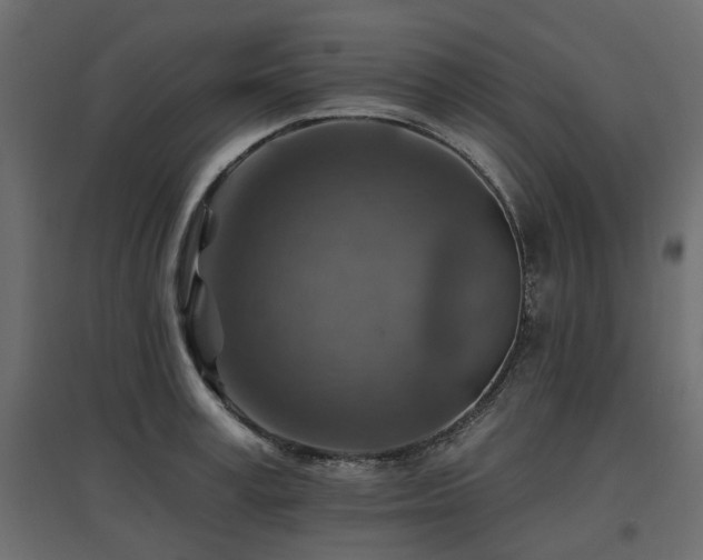 X0000097770995200803071313