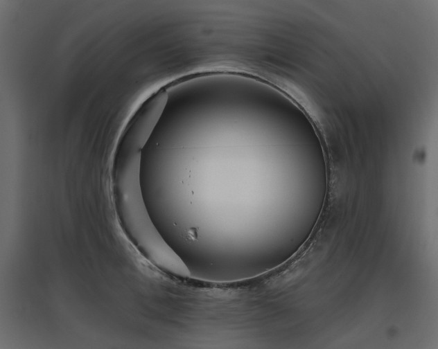 X0000097770996200803071313