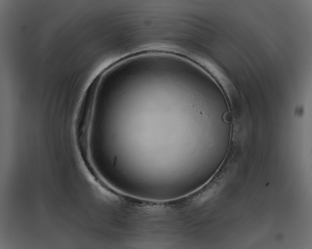 X0000097770999200803071313