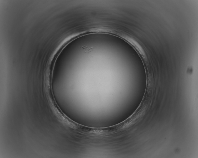 X0000097771000200803071313