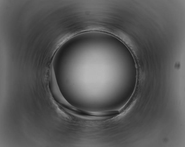 X0000097771001200803071313