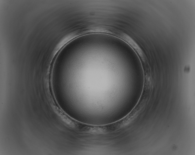 X0000097771002200803071313