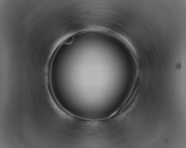 X0000097771003200803071313